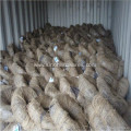 Good Quality Galvanized Wire